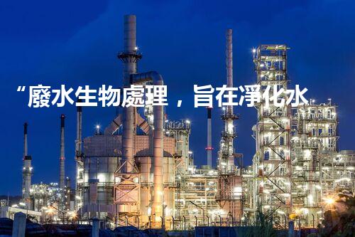 “廢水生物處理，旨在凈化水源，守護(hù)碧水藍(lán)天”